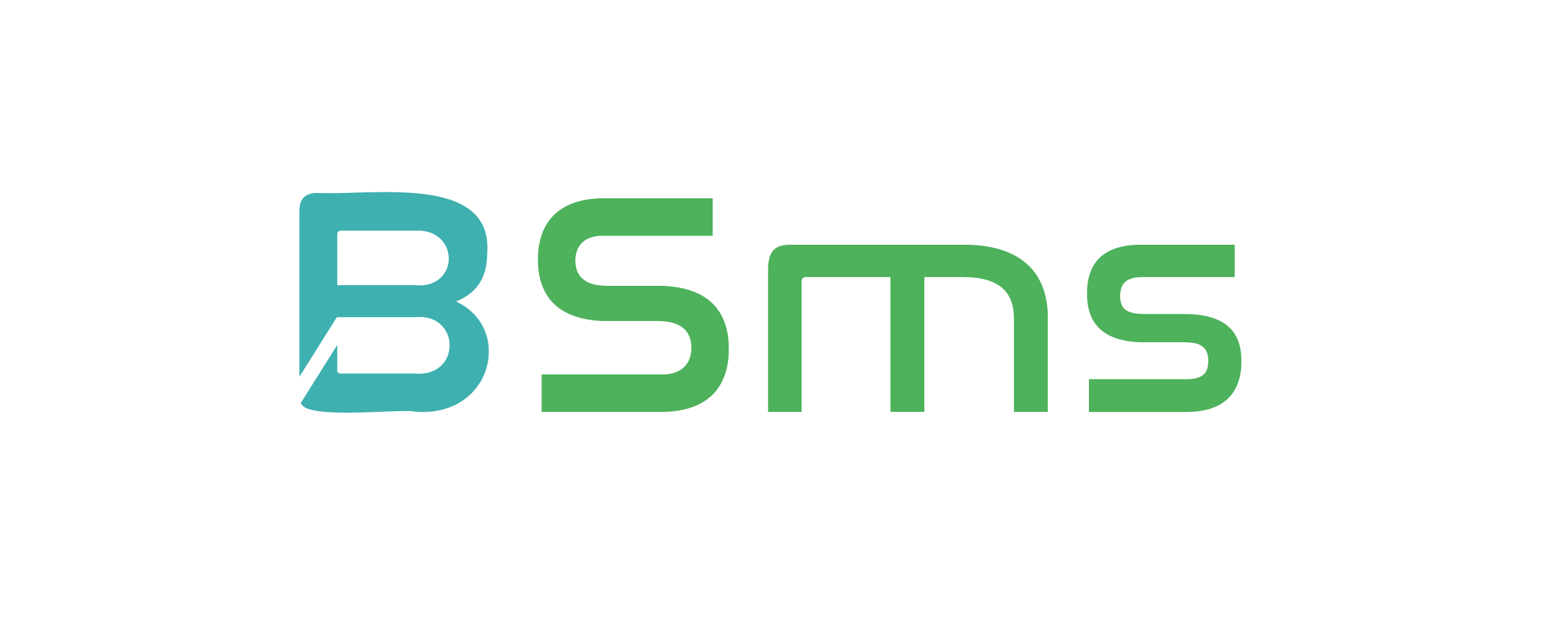 BSMS Logo